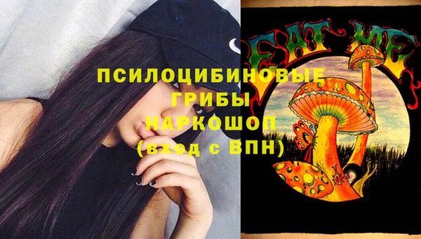 сатива Магадан