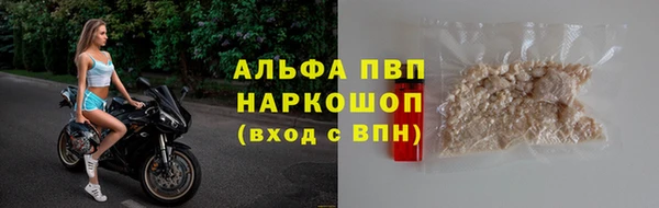 гашик Майский