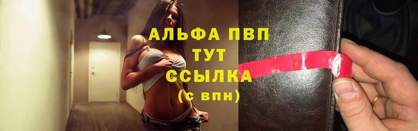 сатива Магадан