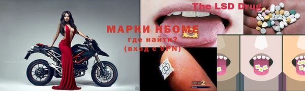 гашик Майский