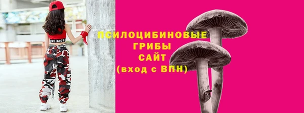 сатива Магадан
