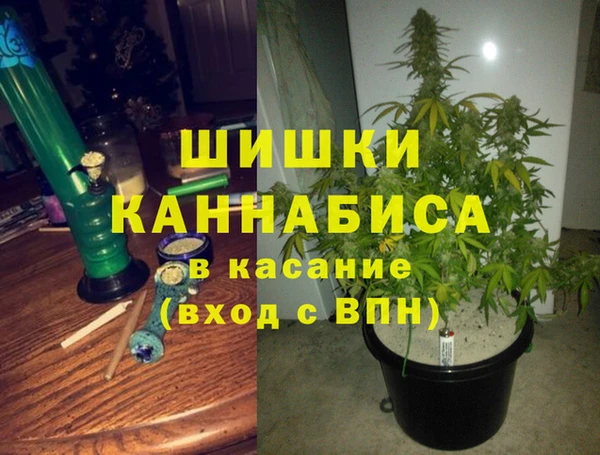 сатива Магадан