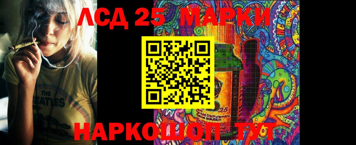 Наркотические марки 1,5мг  Вход с VPN  Новозыбков  Наркотические марки 1,5мг 