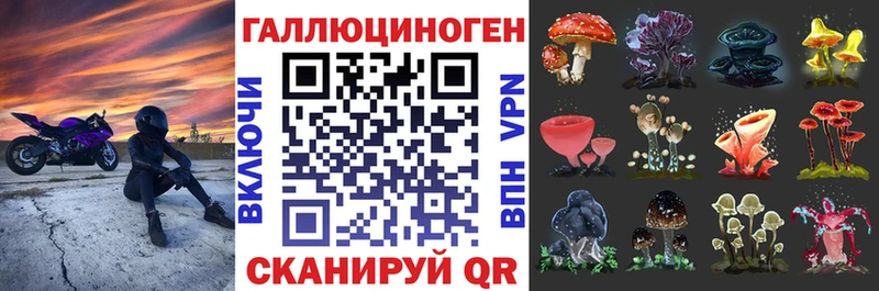 ОМГ ОМГ зеркало  цены   Новозыбков  Галлюциногенные грибы GOLDEN TEACHER 