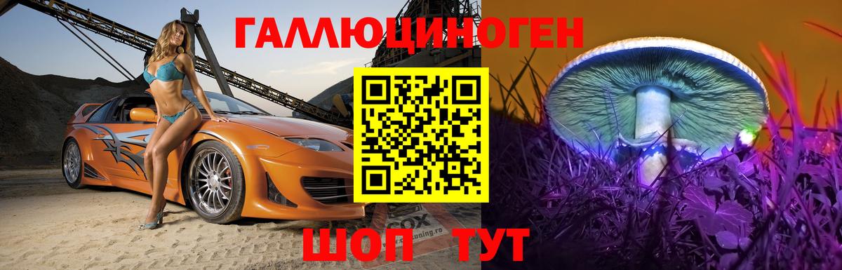 купить  цена  Галлюциногенные грибы мухоморы  Новозыбков  Галлюциногенные грибы мицелий 